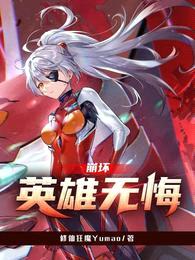 崩坏:英雄无悔