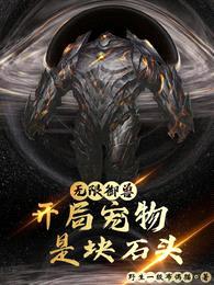 无限御兽:开局宠物是块石头